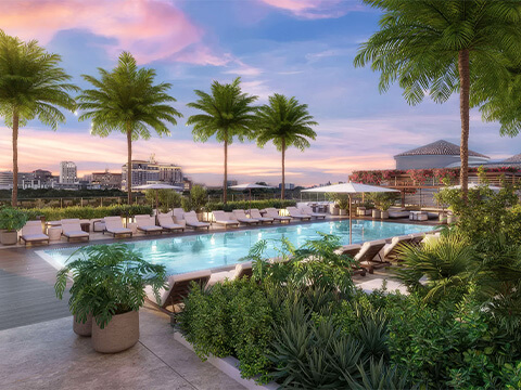 Cassia Residences Coral Gables rooftop pool sunset view with palm trees, lounge deck, and resort-style atmosphere