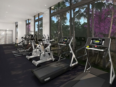 Fitness center at Roble One Coconut Grove Miami with treadmills, exercise bikes and floor-to-ceiling windows